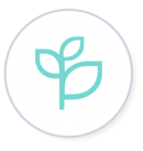 a small plant icon for representing natural fiber