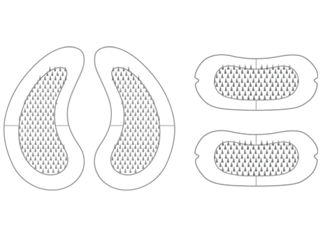 curved droplet shaped microneedle patch and bandage-like shaped Microneedle patch