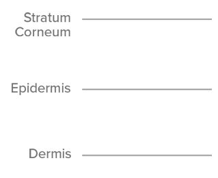 3 layer names of microneedle patch: Stratum Corneum, Epidermis, Dermis